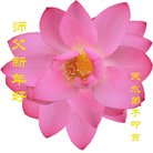 ֹ,󷨵ӹףʦ(24)