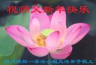 法轮功,四川大法弟子恭祝师尊新年好(21条)