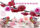 ֹ,Ĵ󷨵ӹףʦ(21)