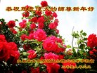 ֹ,ൺ󷨵ӹףʦ(26)