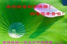 ֹ,ʡ󷨵ӹףʦ(23)