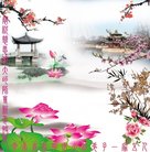 法轮功,云南大法弟子恭祝师尊新年好(19条)