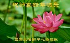 ֹ,󷨵ӹףʦ(20)