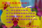 ֹ,ʡ󷨵ӹףʦ(23)