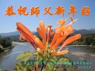 ֹ,󷨵ӹףʦ(24)
