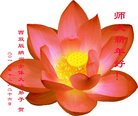 ֹ,ϴ󷨵ӹףʦ(20)