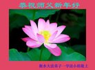ֹ,ӱ󷨵ӹףʦ(23)