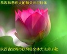 ֹ,󷨵ӹףʦ(20)
