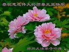 ֹ,֣ݴ󷨵ӹףʦ(26)