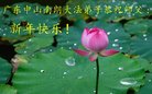 ֹ,㶫󷨵ӹףʦ(25)