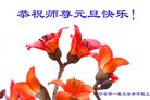 ֹ,󷨵ӹףʦ(30)