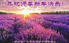 ֹ,󷨵ӹףʦ(22)