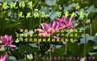 ֹ,󷨵ӹףʦ(23)