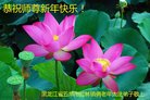ֹ,󷨵ӹףʦ(19)