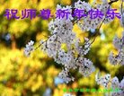 ֹ,ʡ󷨵ӹףʦ(24)