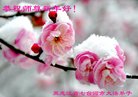 ֹ,󷨵ӹףʦ(23)