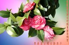 法轮功,云南大法弟子恭祝师尊新年好(20条)