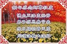 ֹ,󷨵ӹףʦ(22)