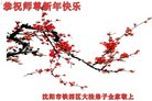 ֹ,󷨵ӹףʦ(24)
