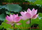 ֹ,󷨵ӹףʦ(22)