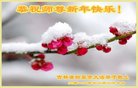 ֹ,ʡ󷨵ӹףʦ(24)