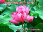 ֹ,󷨵ӹףʦ(22)