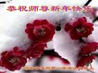 法轮功,保定大法弟子恭祝师尊新年好(22条)