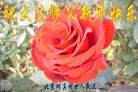 ֹ,󷨵ӹףʦ(18)