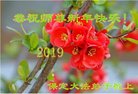 ֹ,󷨵ӹףʦ(22)