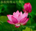 ֹ,󷨵ӹףʦ(22)