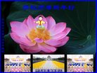 ֹ,ൺ󷨵ӹףʦ(23)