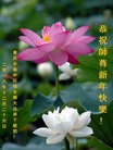 ֹ,󷨵ӹףʦ(26)
