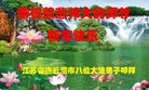 ֹ,մ󷨵ӹףʦ(25)