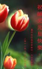法轮功,重庆大法弟子恭祝师尊新年好(26条)