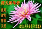 ֹ,󷨵ӹףʦ(23)