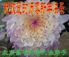 ֹ,󷨵ӹףʦ(23)