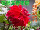 ֹ,󷨵ӹףʦ(23)
