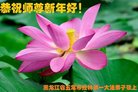 ֹ,󷨵ӹףʦ(19)