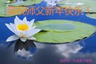 ֹ,㽭󷨵ӹףʦ(24)