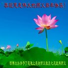 ֹ,ӱ󷨵ӹףʦ(19)