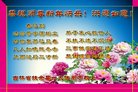 ֹ,ʡ󷨵ӹףʦ(24)