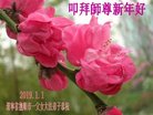 法轮功,辽宁大法弟子恭祝师尊新年好(24条)