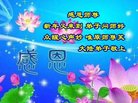 法轮功,青岛大法弟子恭祝师尊新年好(23条)
