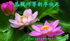 法轮功,哈尔滨大法弟子恭祝师尊新年好(25条)