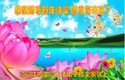 法轮功,辽宁大法弟子恭祝师尊新年好(20条)