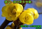 ֹ,ɶ󷨵ӹףʦ(20)