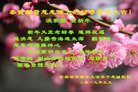 ֹ,д󷨵ӹףʦ(20)