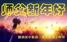法轮功,陕西大法弟子恭祝师尊新年好(20条)