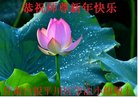 ֹ,󷨵ӹףʦ(23)