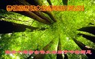 ֹ,󷨵ӹףʦ(24)